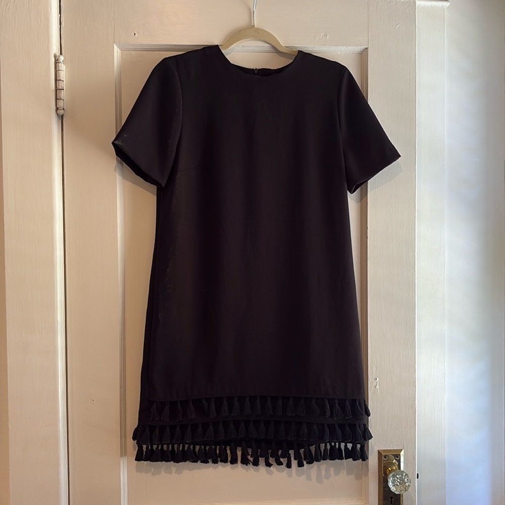 Zara Black Tassel Hem Dress